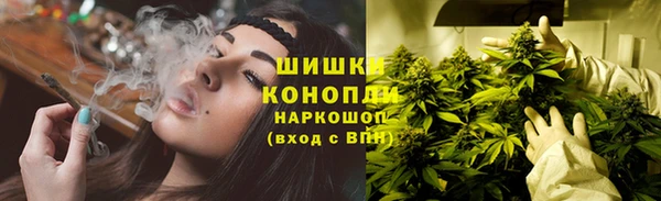 МДПВ Богданович