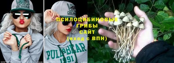 МДПВ Богданович
