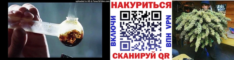Канабис MAZAR  Северская 